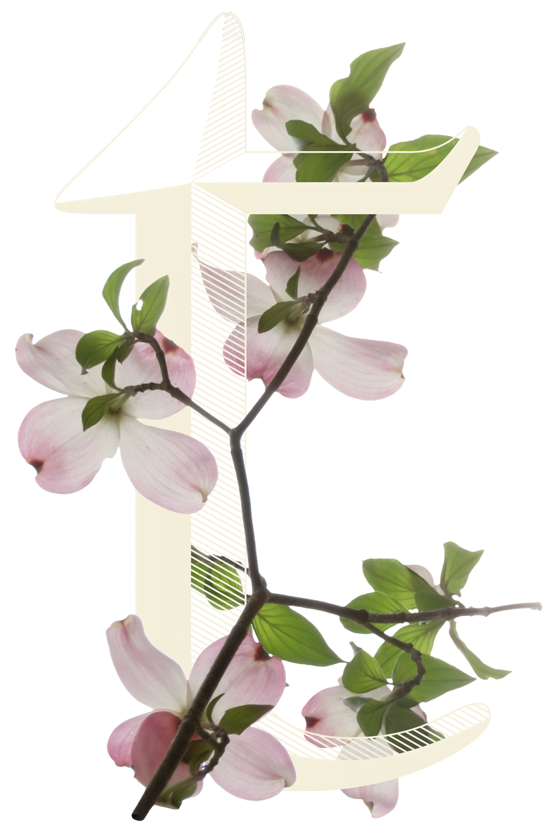 Tarks floral logo